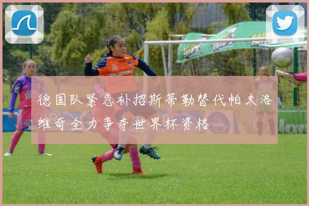 德国队紧急补招斯蒂勒替代帕夫洛维奇全力争夺世界杯资格