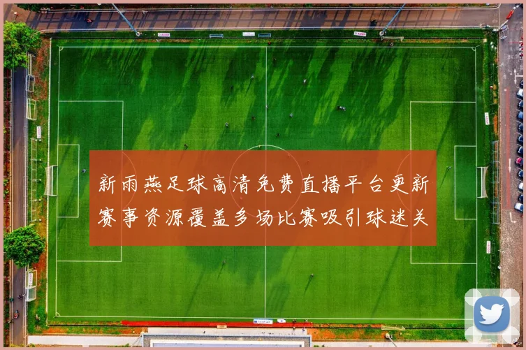 新雨燕足球高清免费直播平台更新赛事资源覆盖多场比赛吸引球迷关注