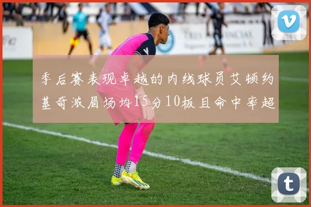 季后赛表现卓越的内线球员艾顿约基奇浓眉场均15分10板且命中率超60